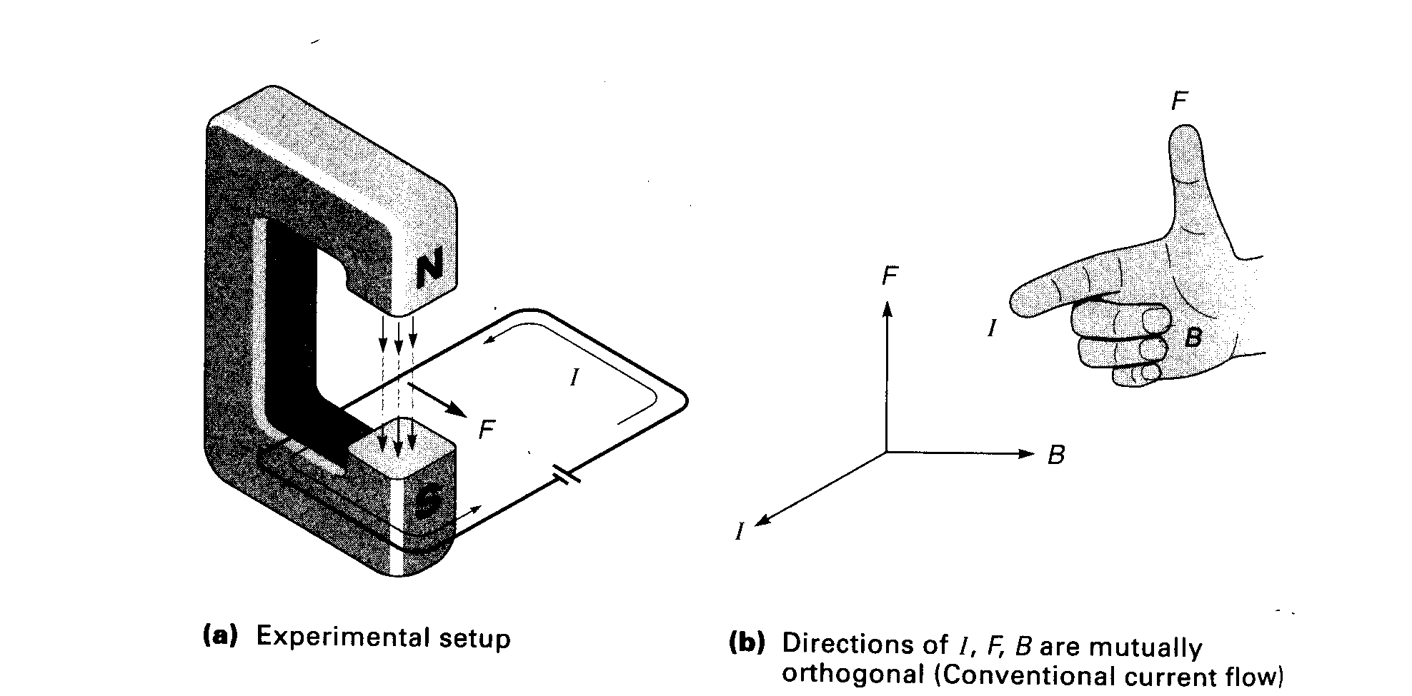fig1.tif (241023 bytes)